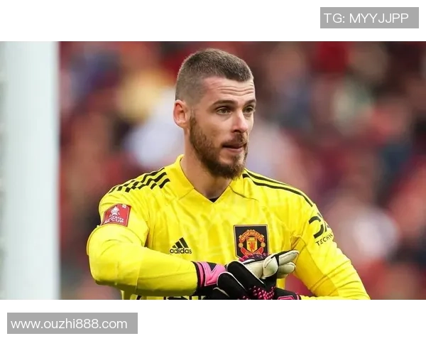 德赫亚：从青涩门将到世界足球明星的辉煌历程与传奇故事